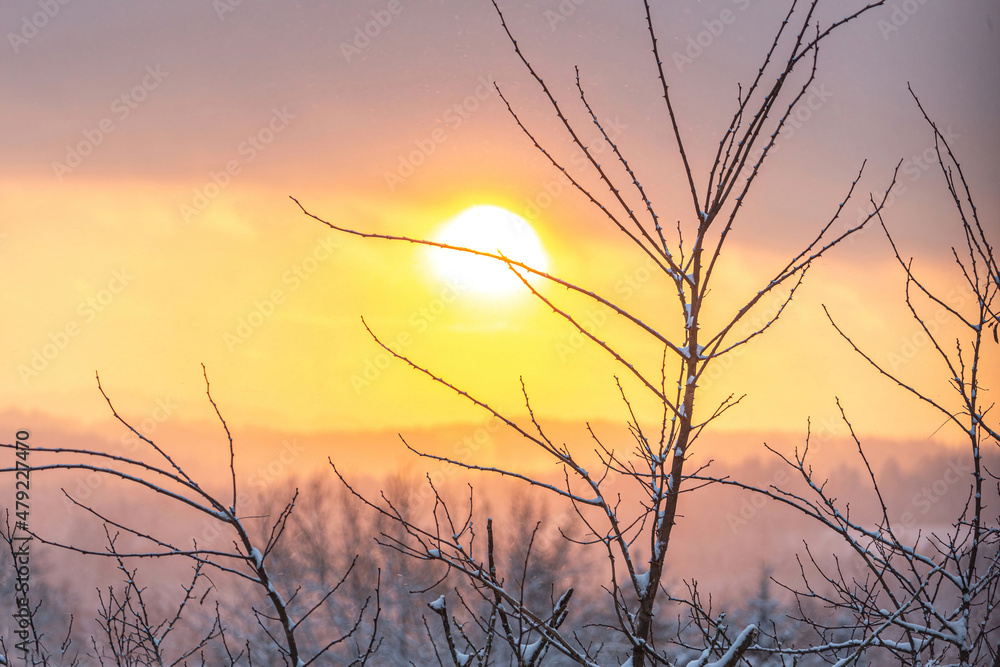 Focus on a branch in front of a winter sundown Focus on a branch in front of a winter sundown