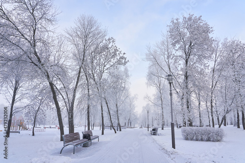 Frosty snow alley in the winter Park with benches. Trees covered with snow. Walking in the fresh air © korsarid
