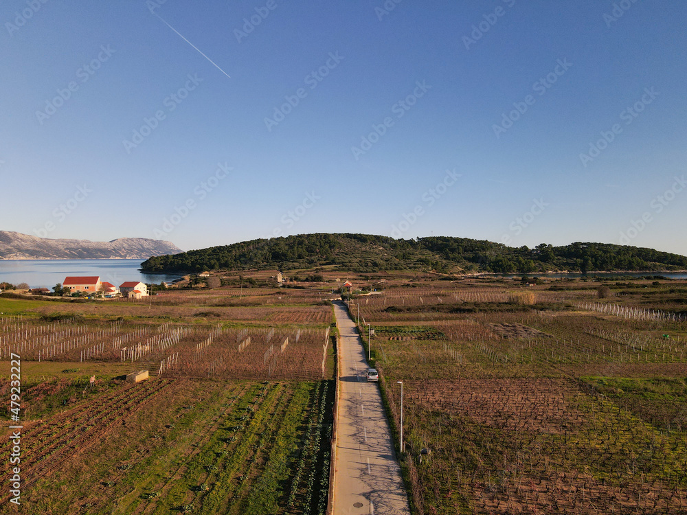 aerial view of vineyards in Lumbarda on Korcula Island, Croatia