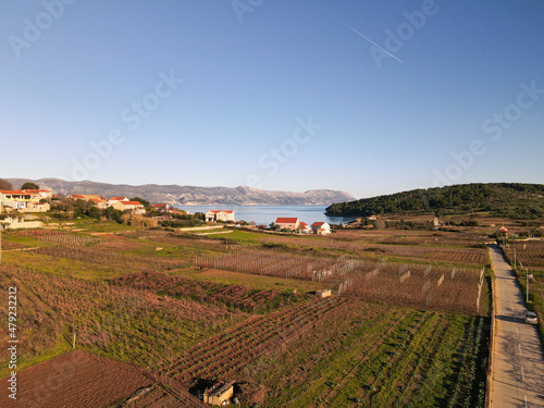 aerial view of vineyards in Lumbarda on Korcula Island, Croatia photo