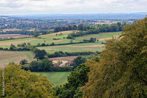 View of english countryside - Ashridge - United Kingdom photo