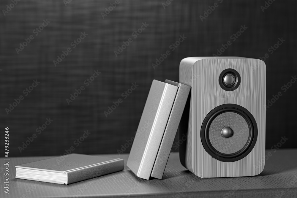 White bookshelf speakers. Professional wooden bookshelf speaker has a
