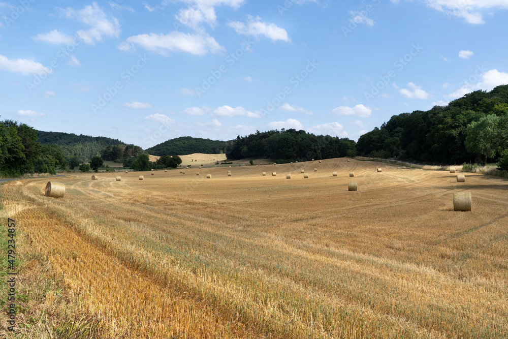 Farm field with hay bales or rolls, rural nature with hills and trees