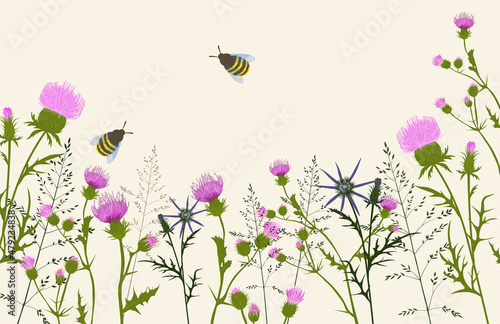 Spring. Flower meadow vector stock illustration. Botanical background. Green pastel landscape. Thistle. Wild flowers of the field.