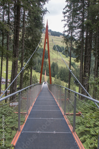 Walkway inbetween the trees at the Talschluss in Saalbach