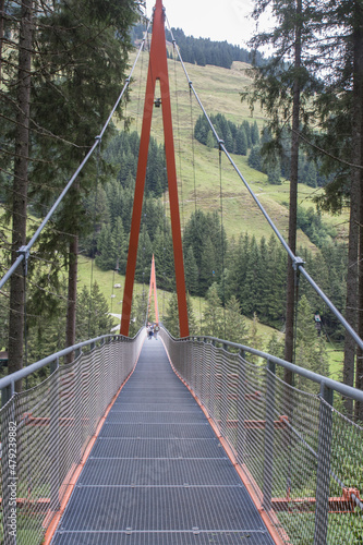 Walkway inbetween the trees at the Talschluss in Saalbach