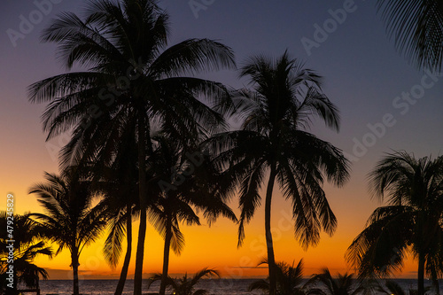 sunset on the beach with a silhouette of palm trees during a vacation to tropical island Cozumel, Mexico in Quintana Roo photo