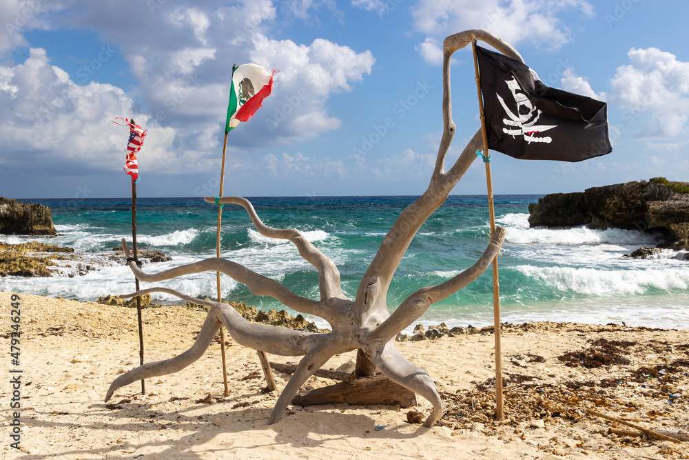 Flags of Mexico and the United States blow in the wind on a large piece of wood shaped like an octopus alongside a skull and crossbones pirate flag on a sandy beach surrounded by turquoise ocean water