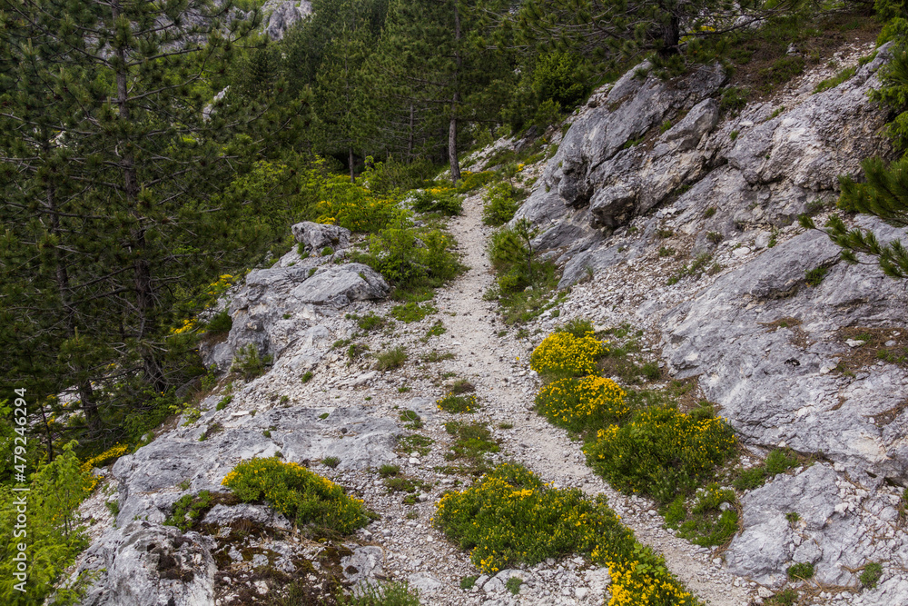 Hiking trail in Lovcen national park, Montenegro