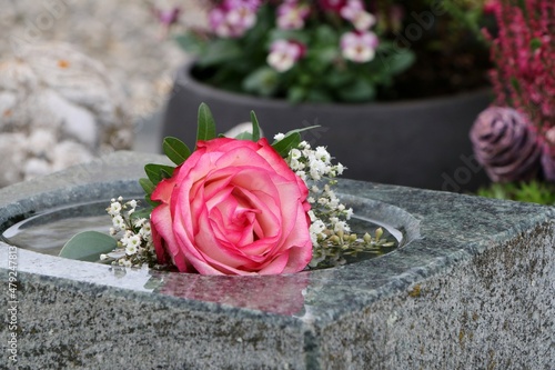 Blumenschmuck auf einem Familiengrab, österreichischer Friedhof, Friedhofsschmuck zu Allerheiligen, eine Rose an einer Gedenkstätte
