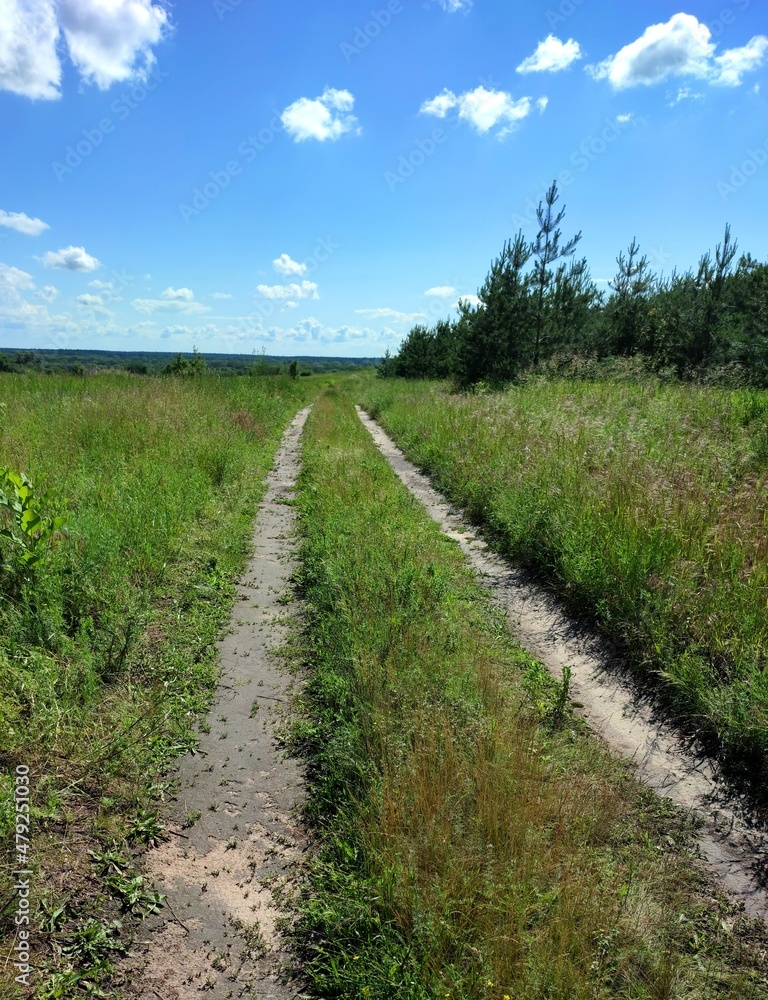 path in the field path in the field