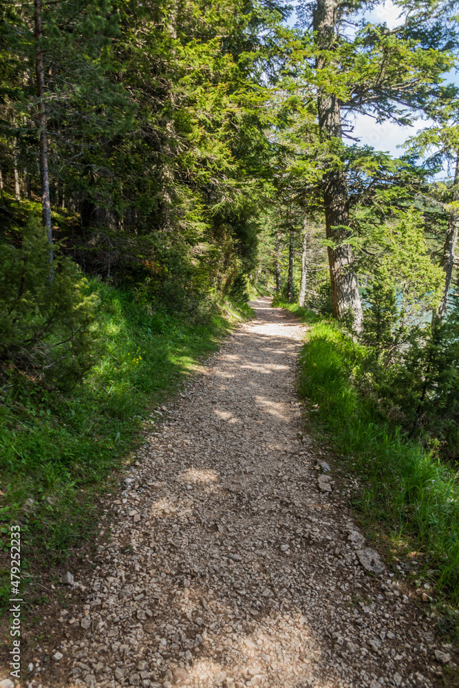 Hiking trail by Crno jezero lake in Durmitor mountains, Montenegro Hiking trail by Crno jezero lake in Durmitor mountains, Montenegro
