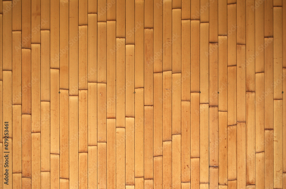 Fototapeta premium 竹壁