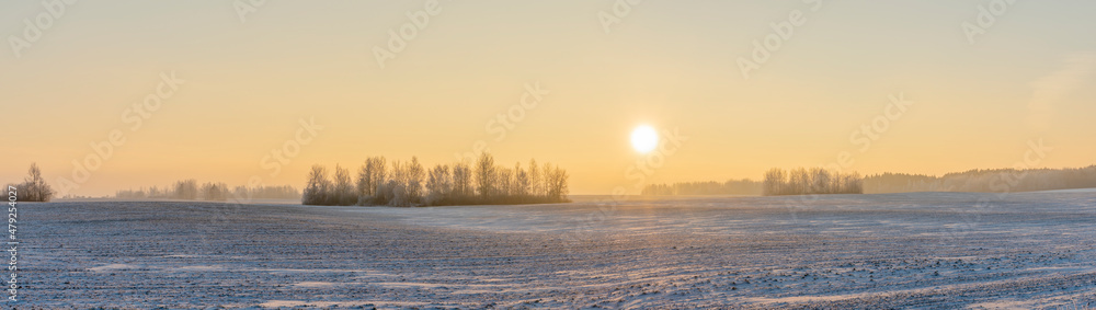 Winter landscape in snow nature with sun, field and trees. Magical winter sunset in a snow field. Winter landscape in snow nature with sun, field and trees. Magical winter sunset in a snow field.