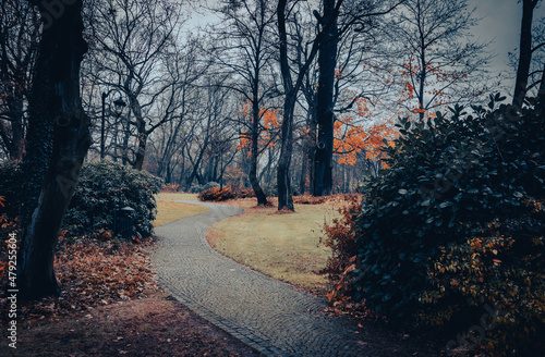 Aleja w parku jesienn   por  .