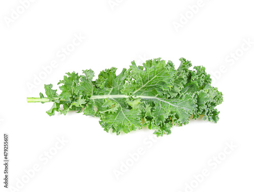 Kale leaf salad vegetable isolated on white background