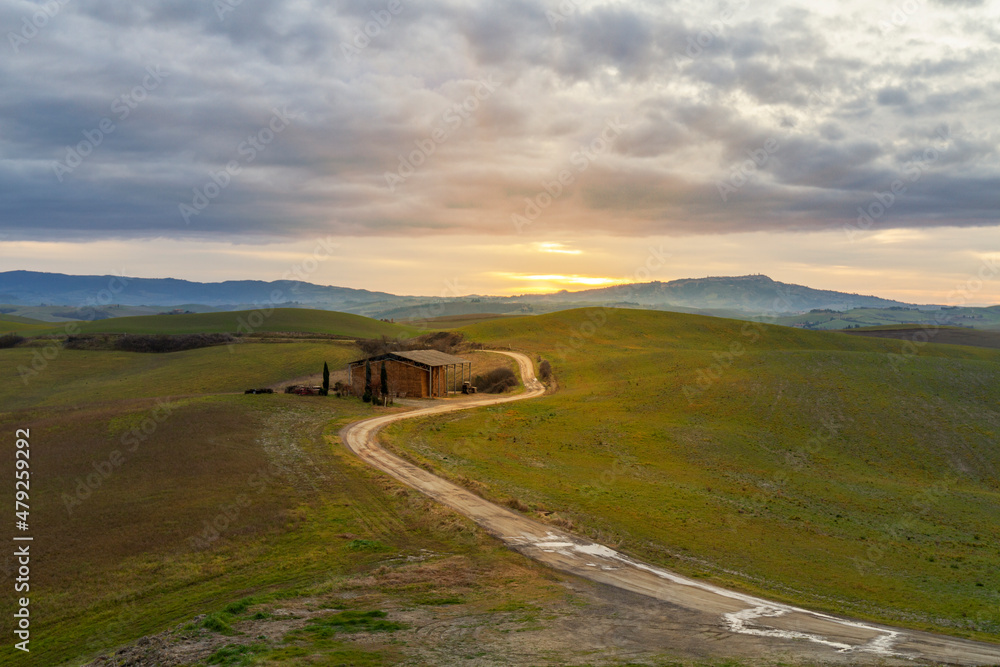 Fototapeta premium Golden hills in Lajatico, Italy