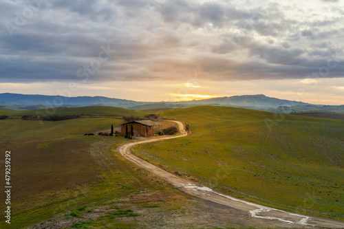 Golden hills in Lajatico, Italy photo