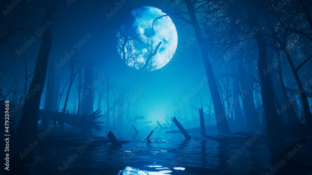Full moon over the misty river in the middle of a dark forest at night. Mystery. Full moon over the misty river in the middle of a dark forest at night. Mystery.