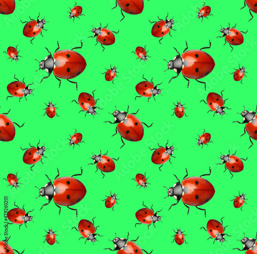 Many red ladybugs on green background, flat lay