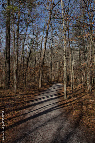 Wallpaper Mural The lost valley trail. Buffalo National River, Arkansas. Torontodigital.ca