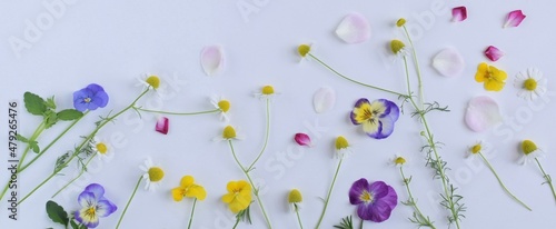 spring flowers on white background. © yuri-ab