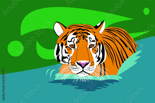 A tiger in water on a green background.