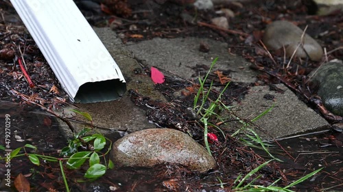 Wallpaper Mural Rainwater running out of a new white rectangle downspout on a rainy winter day in a residential yard
 Torontodigital.ca