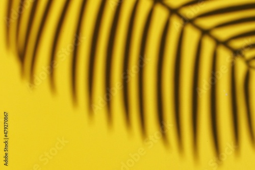close up of a yellow and leaf background