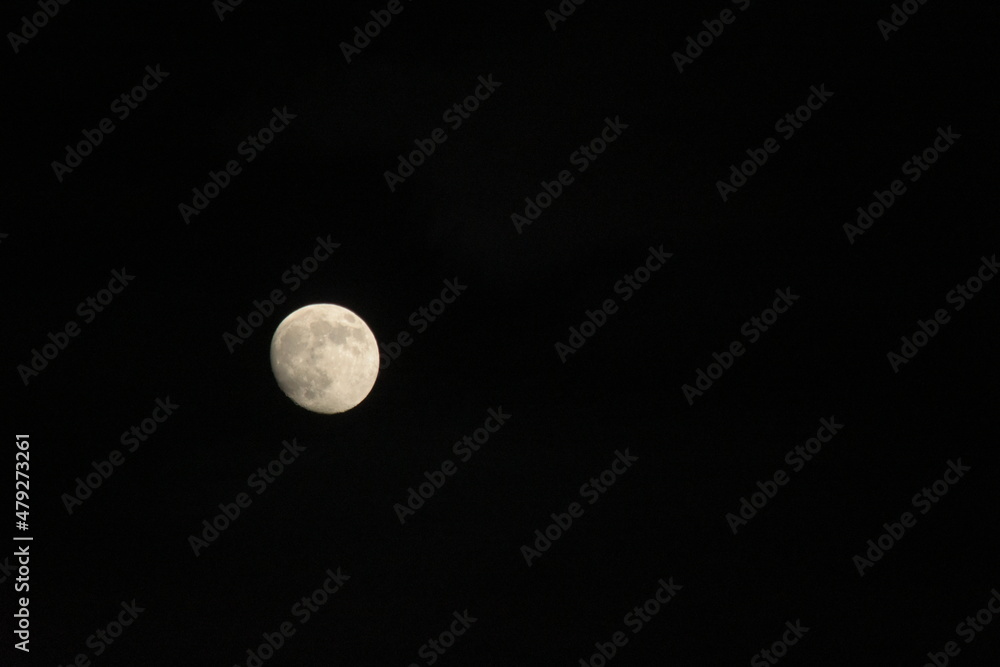 moon moon