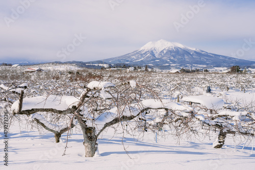 A big mountain covered with white snow in winter, Mt. Iwaki in Aomori Prefecture in Japan, Nature or travel background