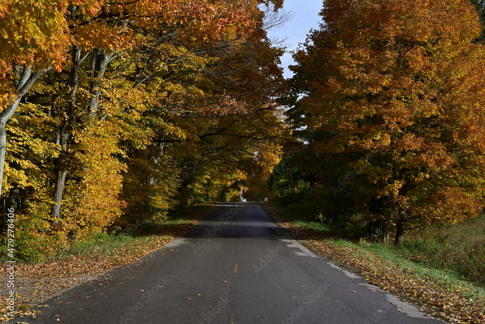 Obraz premium road in autumn