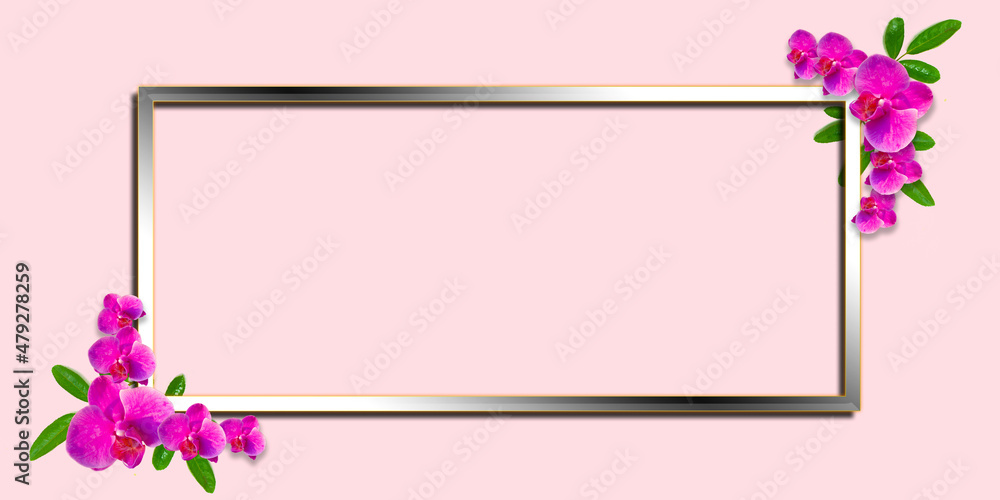 Beautiful pink tropical orchid flower frame isolated on pink background.with silver color square frame. copy space concept, design, text Beautiful pink tropical orchid flower frame isolated on pink background.with silver color square frame. copy space concept, design, text