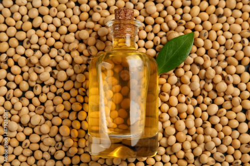 Bottle of oil and green leaf on soybeans, top view