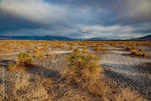 Fototapeta Naklejka Na Ścianę i Meble -  death valley desert landscape in midday heat