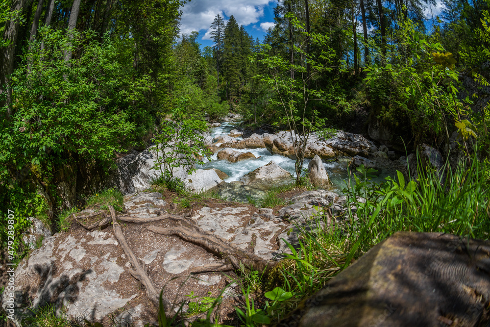 Wildwasser in den Alpen blauer Himmel und sattes grün