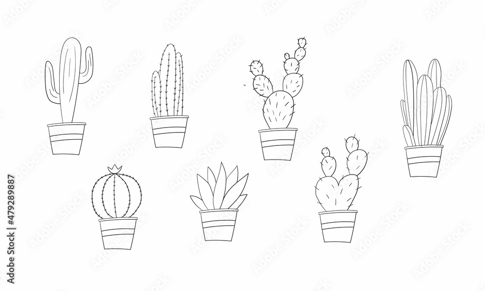 Fototapeta premium Vector set of cactus plants in pots with outlines. Hand drawn cactus on white background design