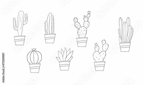 Vector set of cactus plants in pots with outlines. Hand drawn cactus on white background design © Rezaul