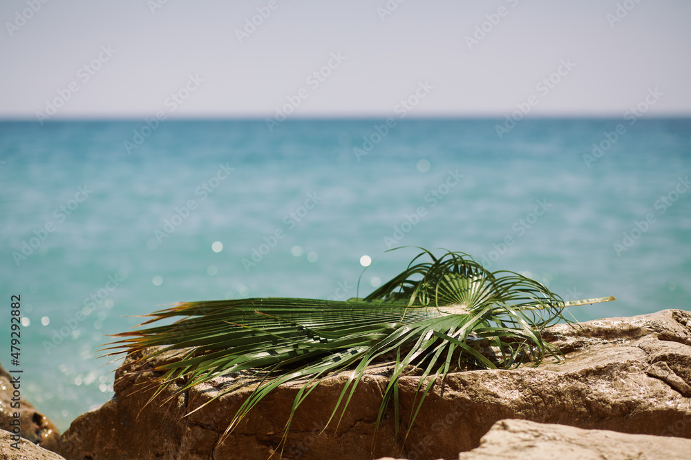 Fototapeta premium Rocky beach with palm leaf and calm sea waves in the background. Vacation concept