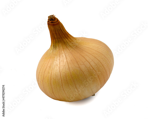 Wallpaper Mural One yellow onion isolated on white background. Torontodigital.ca