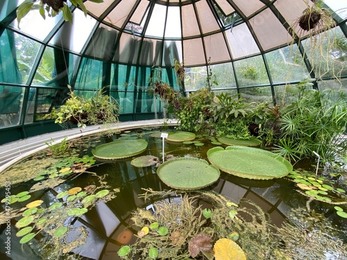 Foto The Zagreb Botanical Garden or Botanical Garden of Faculty of Science - Zagreb,