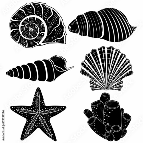 The set is an insulated seashell. Vector illustration, black stencil icon