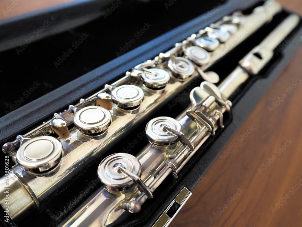 Obraz premium Flute made from silver 5