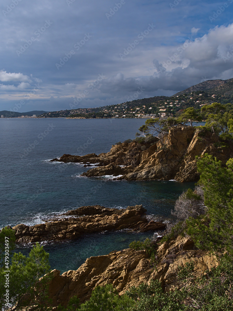 View of the mediterranean coast near town La Lavandou at the French Riviera, France with sharp rocks and green coniferous trees on sunny day in autumn.