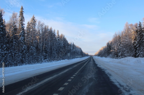 winter highway the road among the snow-covered taiga forest © Elena Bondareva