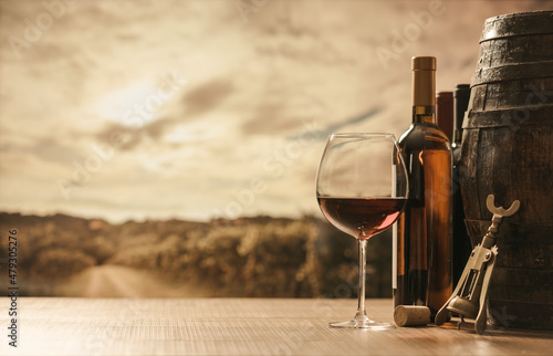 Vineyard and wine tasting experience