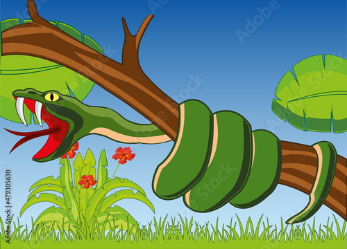 Poisonous snake on tree in jungle nature