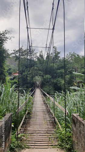 bridge over the river