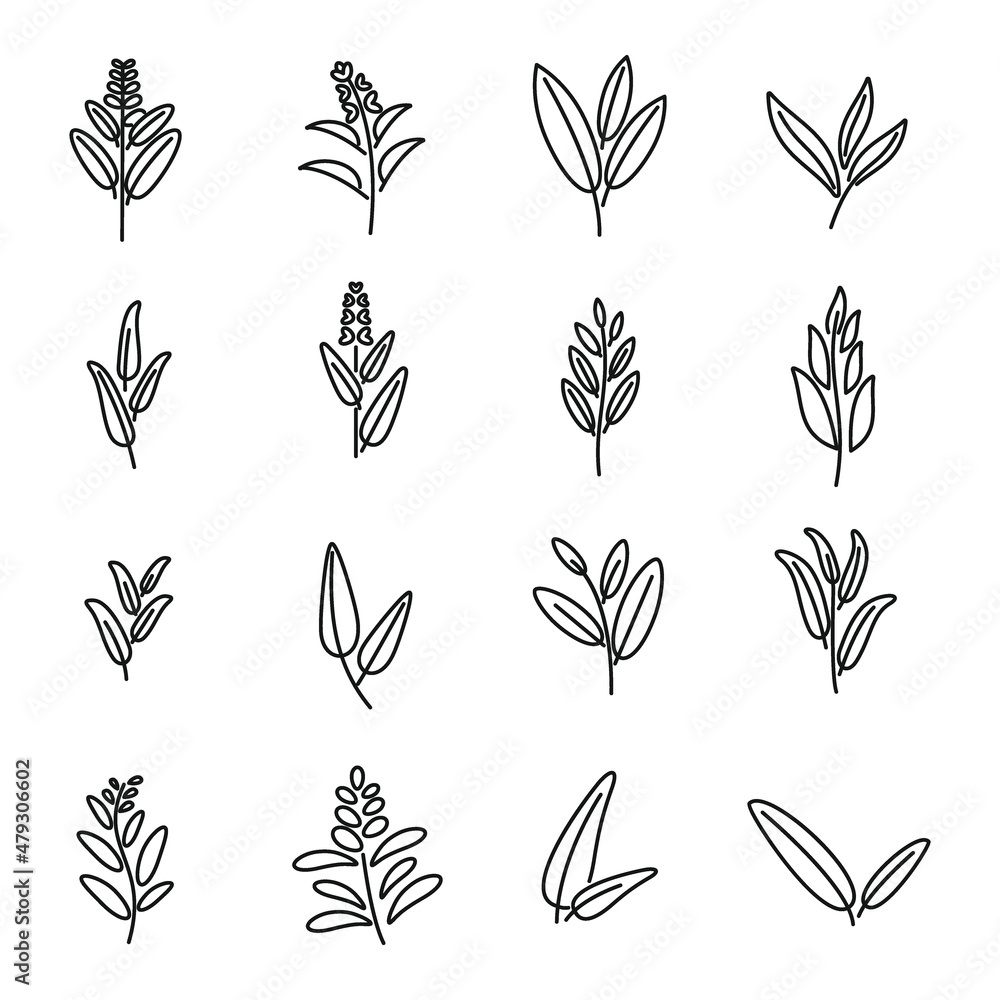 Sage icons set outline vector. Flower leaf