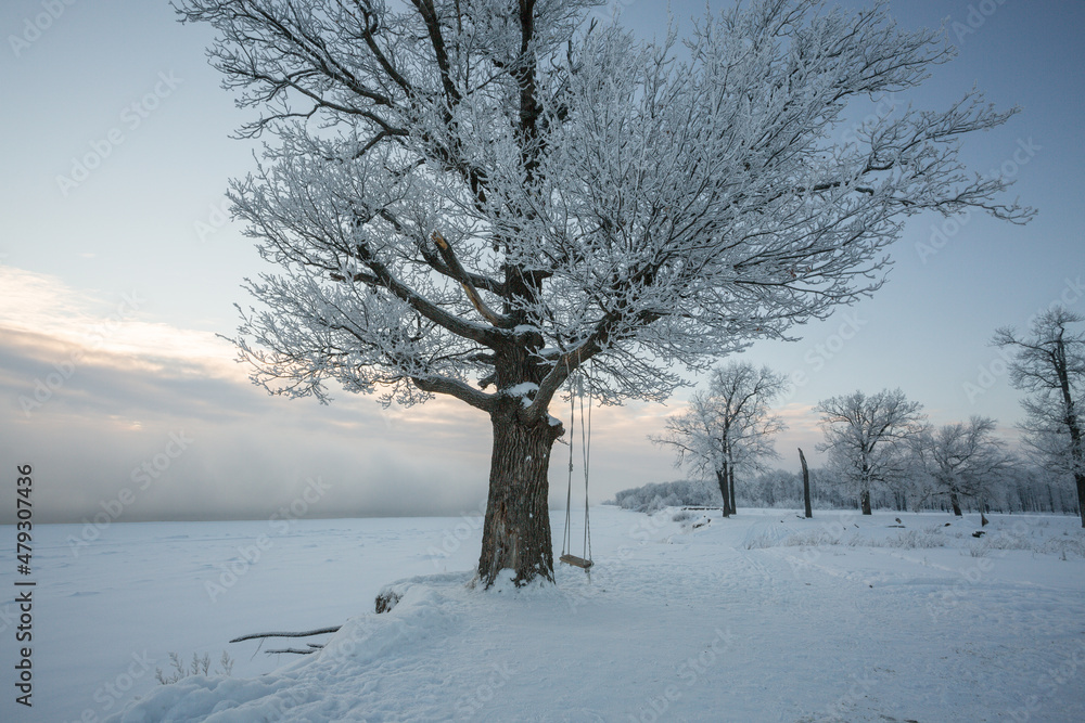 winter landscape, frozen trees, snowy view, beautiful winter winter landscape, frozen trees, snowy view, beautiful winter